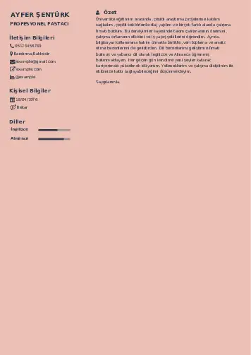 Pastacı Cv Örnekleri cv indir